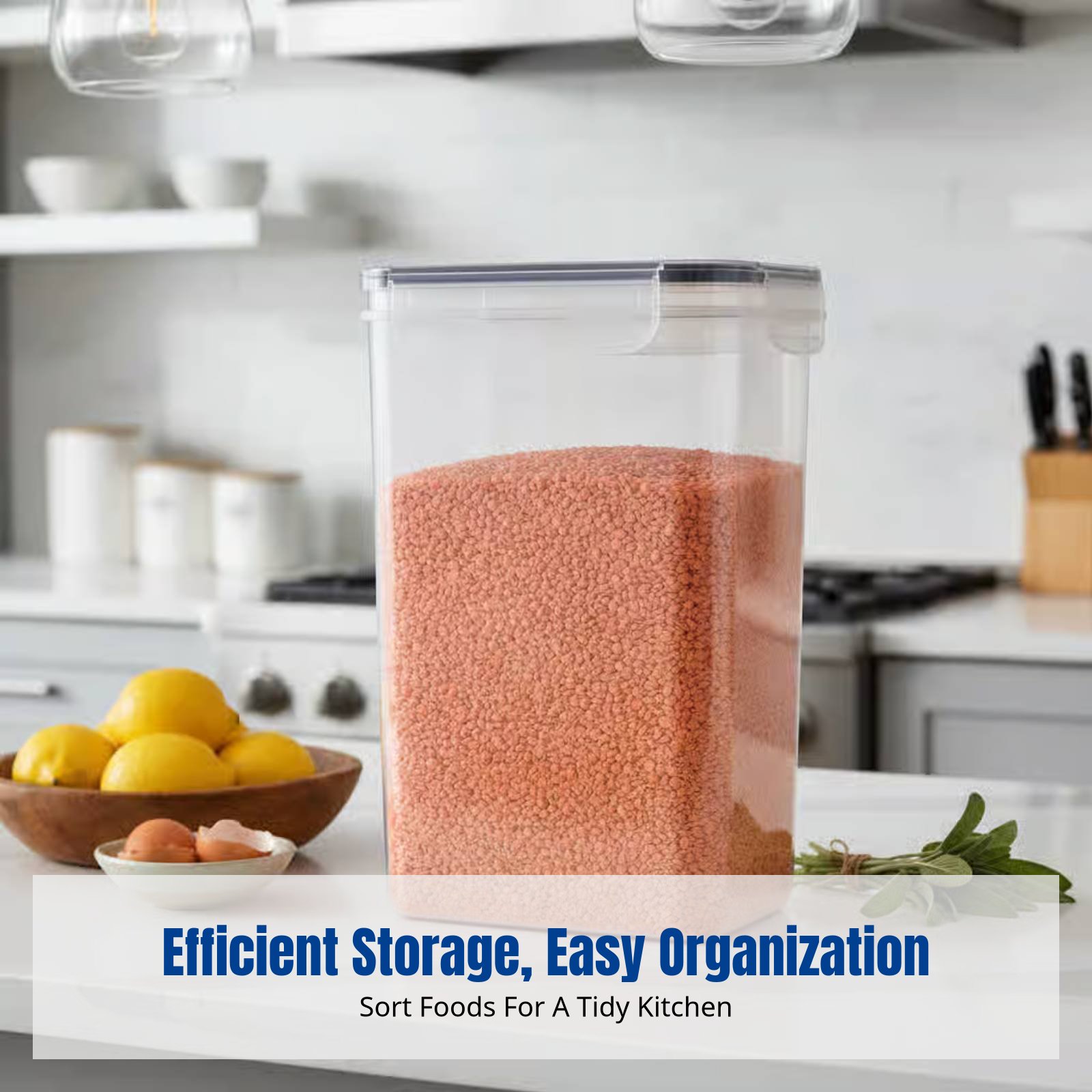 ชุดภาชนะเก็บอาหารสุญญากาศ ความ - Food Storage Containers Set บทวิจารณ์และราคา