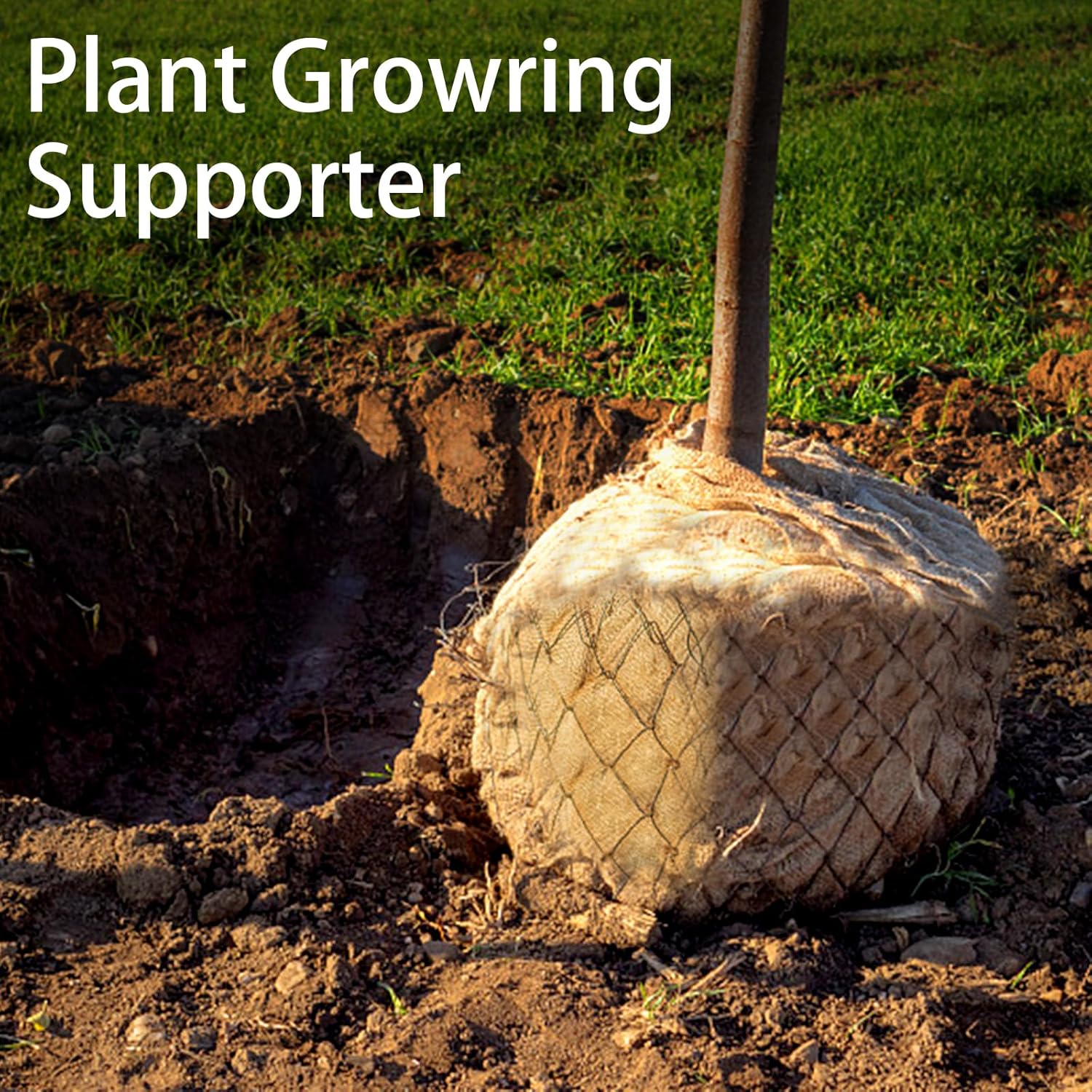 1 แพ็คกระสอบมันฝรั่ง Burlap กร - Food Storage Roots บทวิจารณ์และราคา